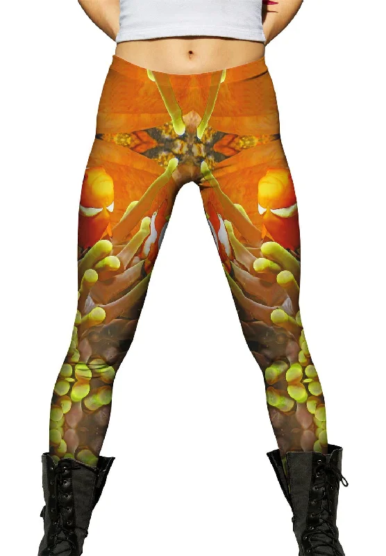 Comfy Pants Anemone Fish Underwater