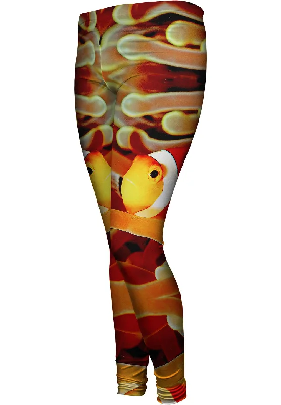 Casual Fit Clown Fish Anemone Underwater
