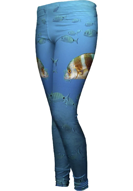 Slightly Flared Design Disfrazado Underwater