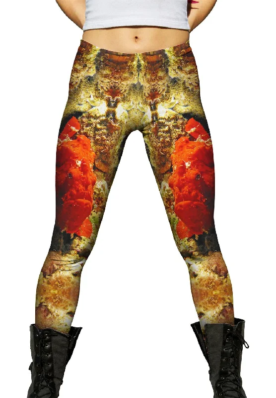 Fashionable Inner Wear Frog Fish Underwater