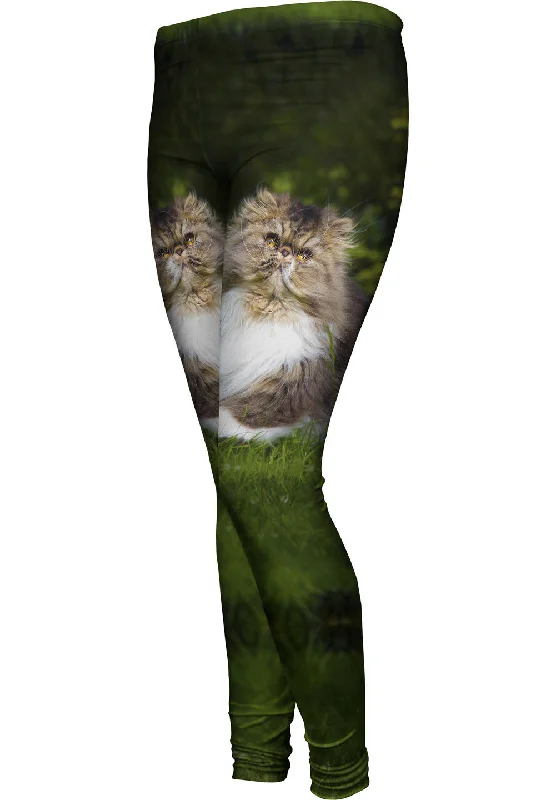 Urban Chic Grassy Cat
