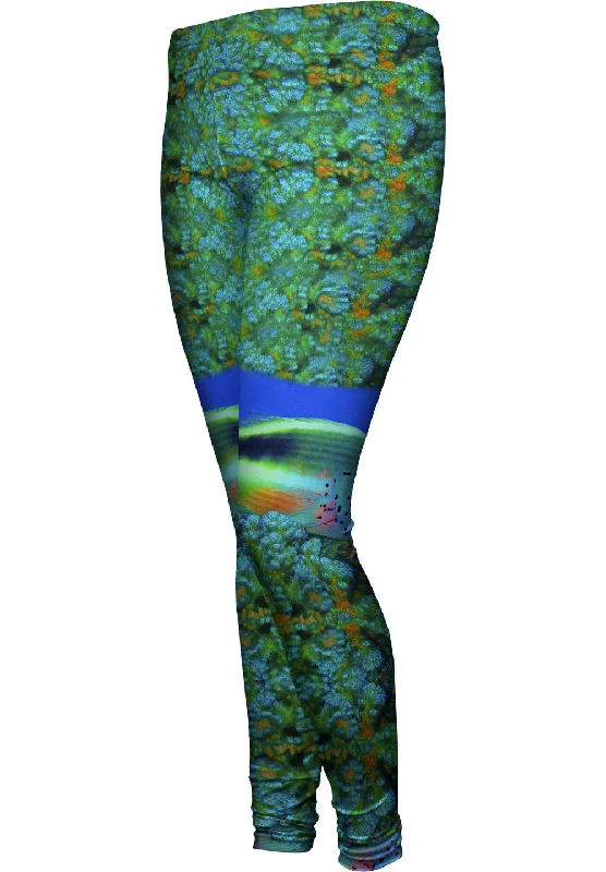 Advanced Design Hawksbill Turtle Swimming Underwater