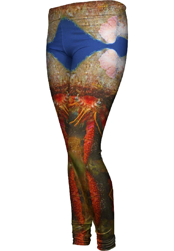 Fresh Wear Hermit Crab Underwater