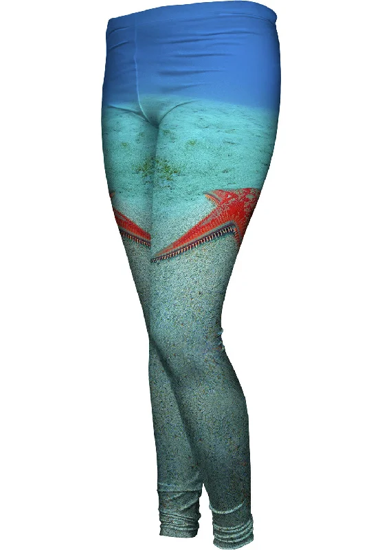 Trendy Items Pecheur De Stars Starfish Underwater