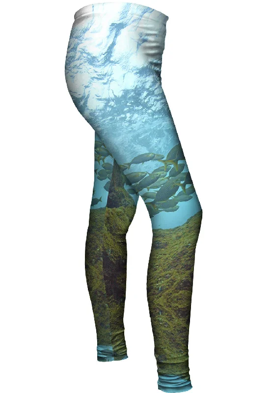 Innovative Design Toujours Au Palier Sky From Underwater