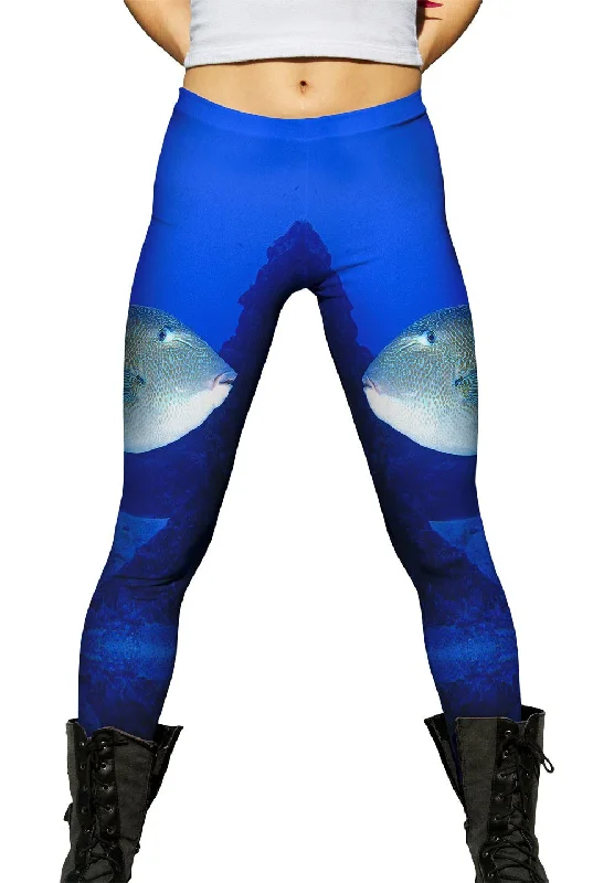 Fashion Style Tron Fish Underwater