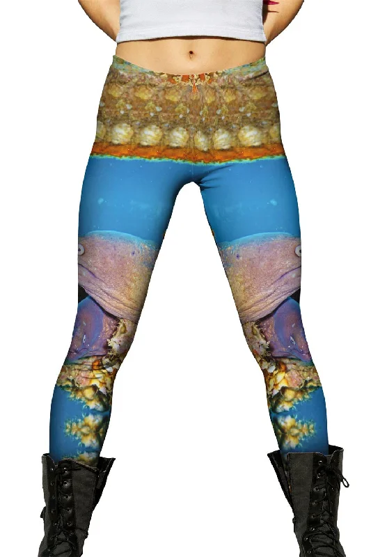 Cozy Fit Two Moray Eels Underwater